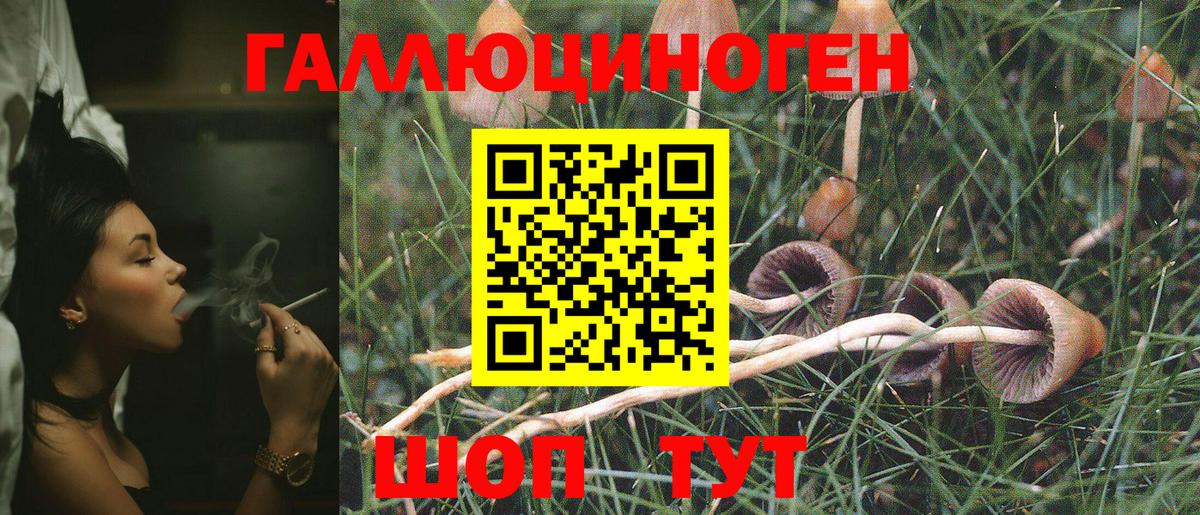 Галлюциногенные грибы GOLDEN TEACHER Шарыпово